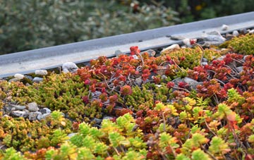 the cost of Midgeholme green roof installation